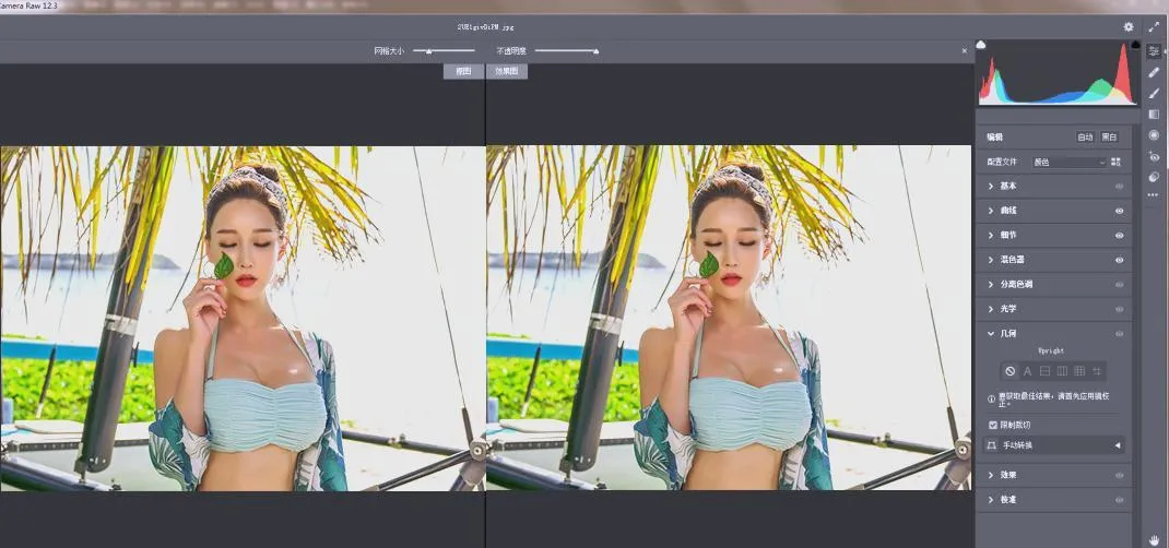 RAW处理Adobe Camera Raw v18.3.1中文版-37博客
