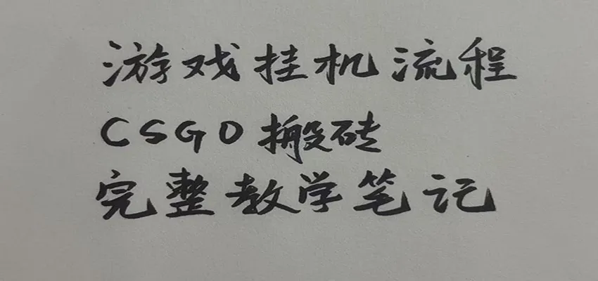 游戏挂机全流程笔记分享，CSGO游戏搬砖，小白看了当天学会见收益-37博客
